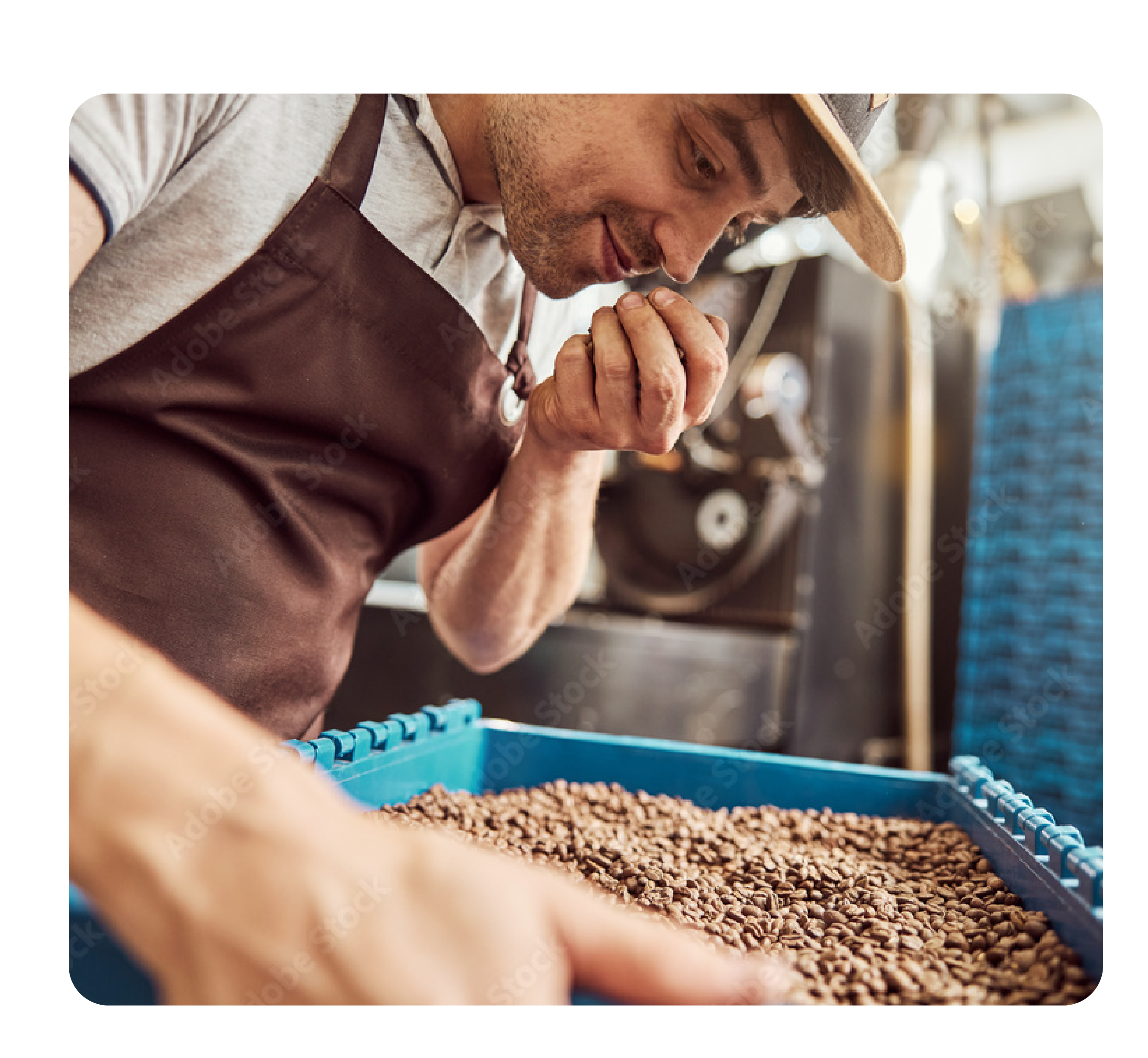 we support food, beverage and consumables 